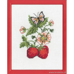Permin, kit fraisiers (PE92-9164)
