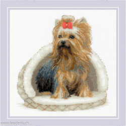 Riolis, kit Yorkshire Terrier (RI2152)