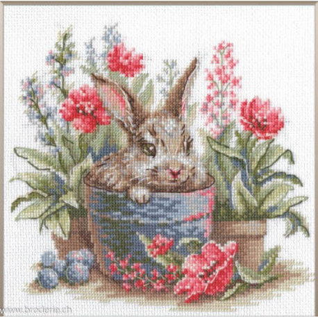 Riolis, kit Blooming Bunny (RI1030)