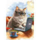Riolis, kit Writer of Meowmoirs (RI2263)