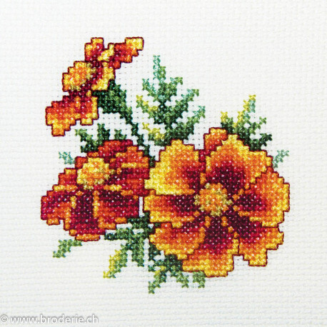RTO, kit "Marigold" (RTOH243)