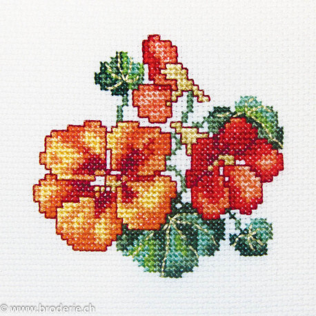 RTO, kit "Nasturtium" (RTOH244)
