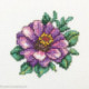 RTO, kit "Zinnia" (RTOH248)