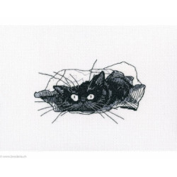 RTO, kit Among black cats (RTOM667)