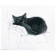 RTO, kit Among black cats (RTOM668)