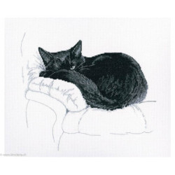 RTO, kit Among black cats (RTOM668)