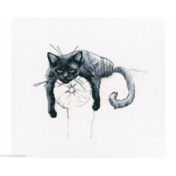 RTO, kit Among black cats (RTOM666)