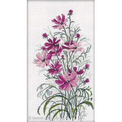 RTO, kit bouquet de Cosmos (RTOM260)