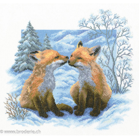 RTO, kit Fox Cubs (RTOM322)