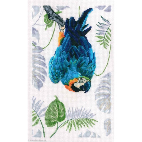 RTO, kit Macaw (RTOM745)