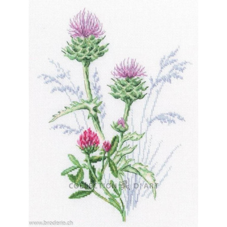 Rto, kit Thistle (RTOM940)