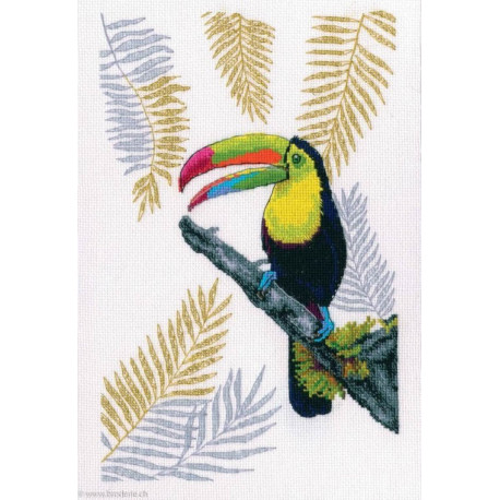 RTO, kit Toucan (RTOM746)