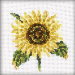 RTO, petit kit tournesol (RTOH170)