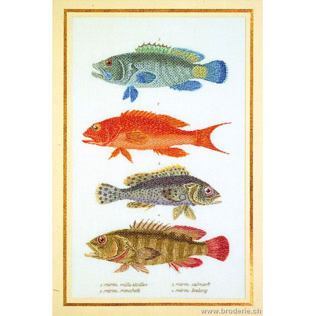 Thea Gouverneur, kit Poissons merou (G2044)