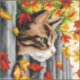 Vervaco, kit chaton surr la clôture (PN0212261)