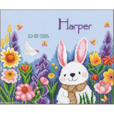 Vervaco, kit naissance Lapin dans le jardin (PN0221962)