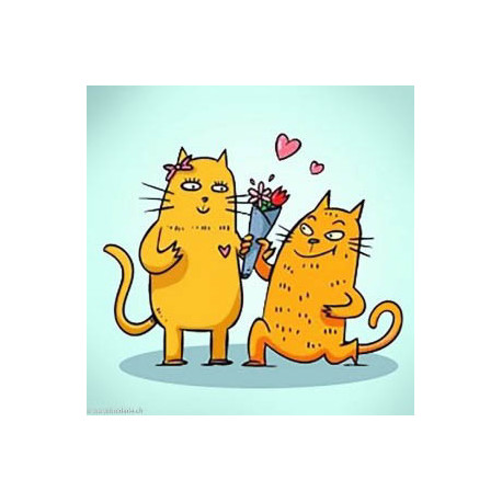 Wizardi, kit diamant Cat romance (WIWD2536)