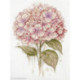 Abris Art, kit A Fragile Bloom (AAH-309)