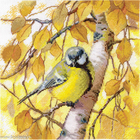 Andriana, kit Titmouse (SANS-76)
