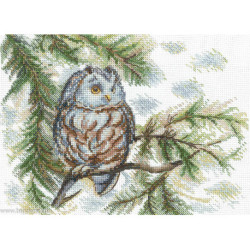 Andriana, kit Little Owl (SANS-73)