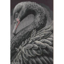 Lanarte, kit au point compté Black swan (LA0216657)