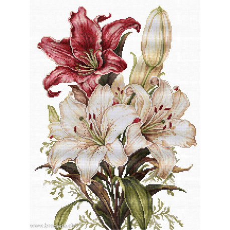 Luca-S, kit The Scent of Lilies (LUCASB7054)