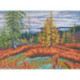 RTO, kit Northern horizon (RTOM1019)