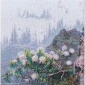 RTO, kit Wild rosemary (RTOM1015)