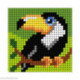 Orchidea, kit enfant chaton toucan (OR9644)