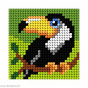 Orchidea, kit enfant chaton toucan (OR9644)