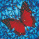 Diamond Dotz, kit diamant niveau 2- PAPILLON ROUGE (DD5020)