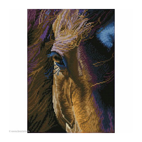 Diamond Dotz, kit diamant niveau 2 Star (DD7060)