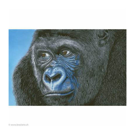 Diamond Dotz, kit diamant niveau 3 Kibali, Wester Gorilla (DD15018)