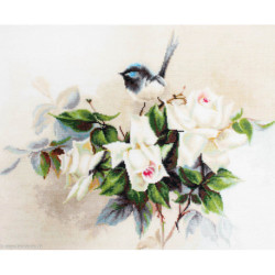 Luca-S, kit Birdie (LUCAB2316)