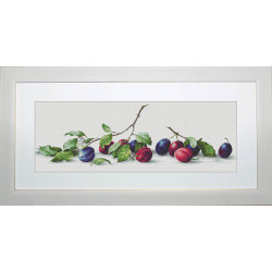 Luca-S, kit Plums (LUCAB2257)