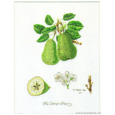 Thea Gouverneur, kit poires et poirier (G2056)