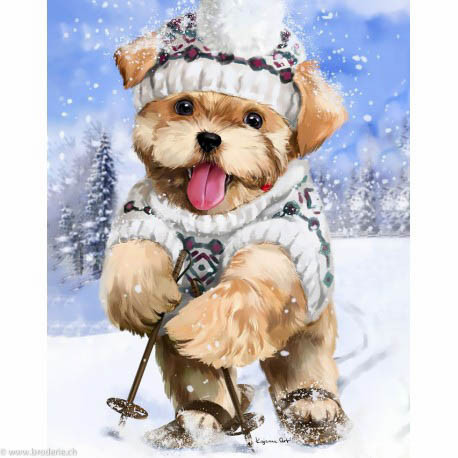 Wizardi, kit diamant Skier (WIWD2447)