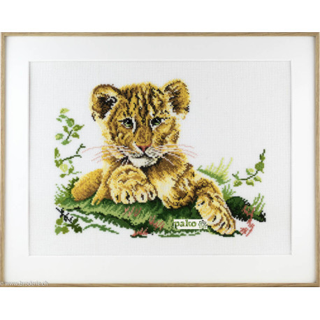 Pako, kit Tigron (PA237.105)