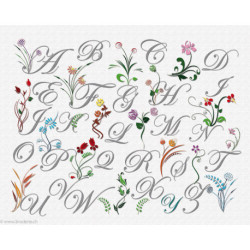 Princesse, kit ABC fleurs sauvages (PR7587)