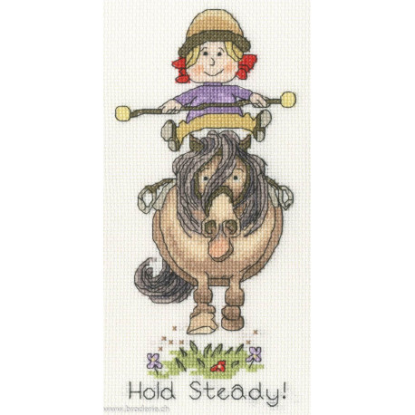 Bothy Threads, kit Hold Steady (BOXT8)