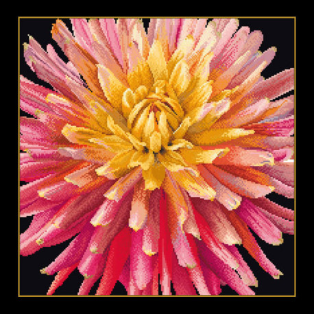 Thea Gouverneur, kit Dahlia (G0441.05)