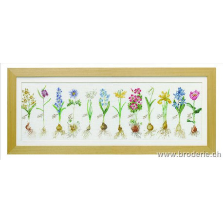 Thea Gouverneur, kit Fleurs à bulbe (G1087)