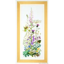 Thea Gouverneur, kit Fleurs sauvages (G0821)