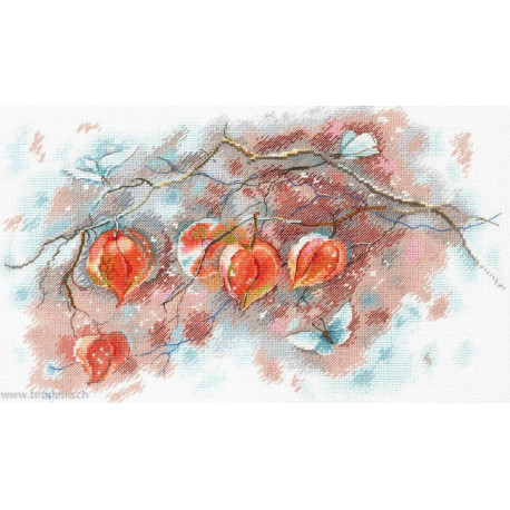 M.P.Studia, kit Aquarelle - Physalis (SA-016)