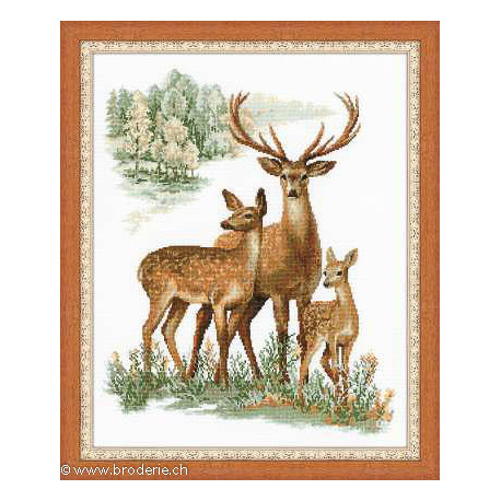 Riolis, kit Deers (RI1370)