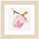 Lanarte, kit Magnolia (LA0008161)