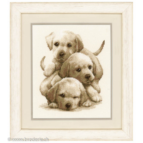 Vervaco, kit 3 chiots (PN0148781)