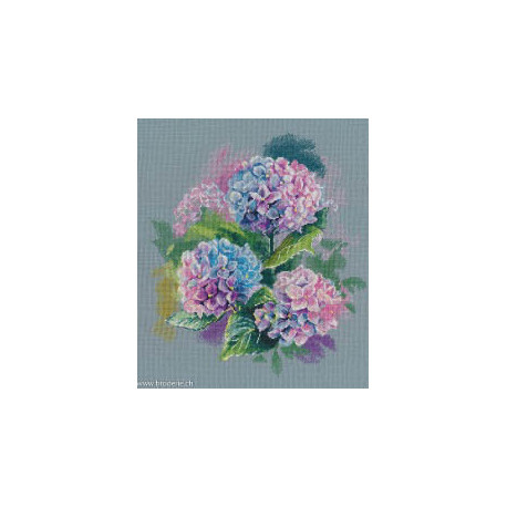 Oven, kit Endless summer (OV1531)