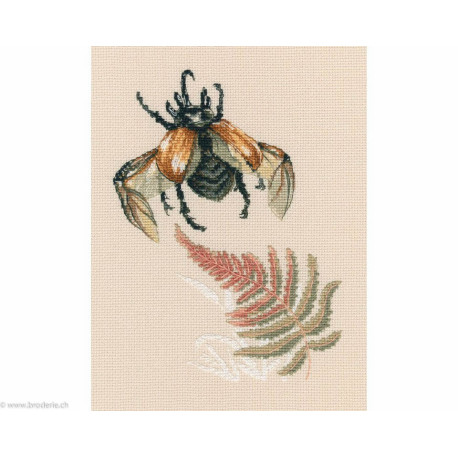 RTO, kit "Bug's fly" (RTOM758)