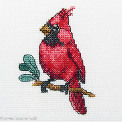 RTO, kit "Cardinal bird" (RTOH220)